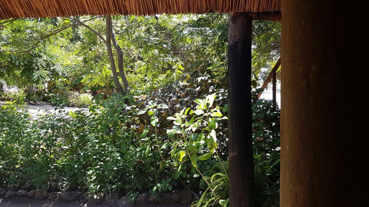 Mufasa Eco Lodge Monkey Bay エクステリア 写真